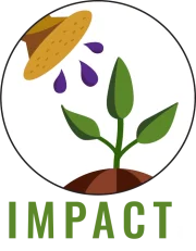 Impact-2024-logo